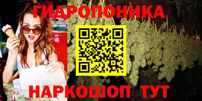 молекула духа Пугачёв